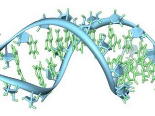 Лечение рака наночастицами из ДНК